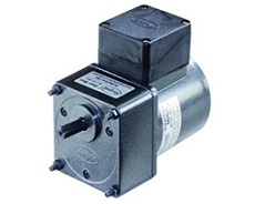 25 Watt Induction Motor