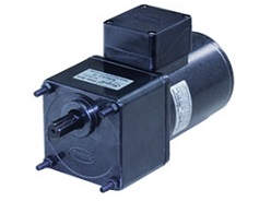 40 Watt Induction Motor