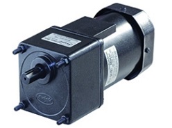 60 Watt Induction Motor